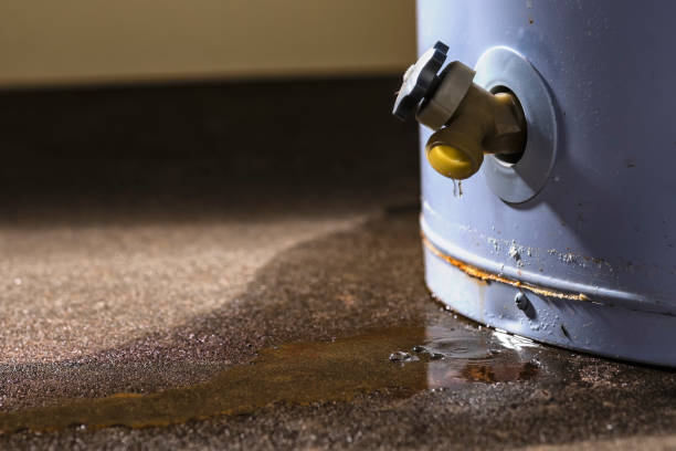 Best 24/7 water damage repair  in Shafter, CA