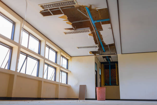 Best 24-hour water damage restoration  in Shafter, CA