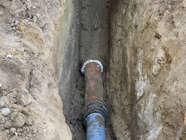 Local water damage restoration in Shafter, CA