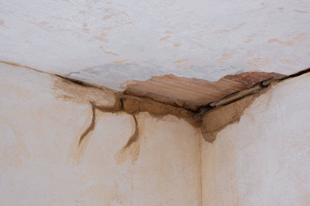 Best Water damage contractors near me  in Shafter, CA