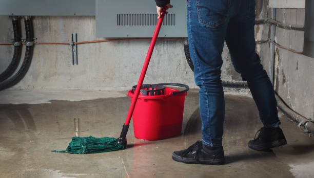 Water damage restoration mold remediation in Shafter, CA