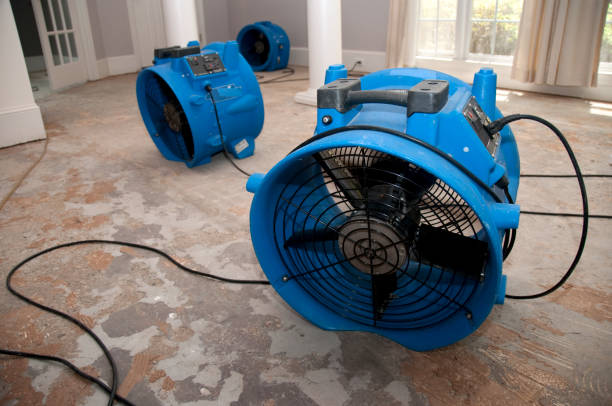 Best Flooded house restoration  in Shafter, CA
