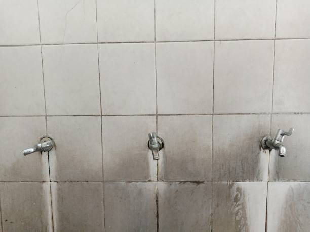 Reliable Shafter, CA Water damage restoration Solutions