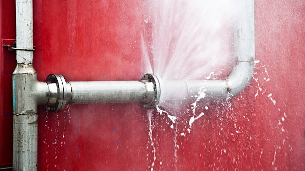 Trusted Shafter, CA Water damage restoration Experts