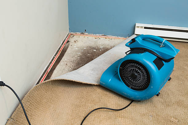  Shafter, CA Water damage restoration Pros
